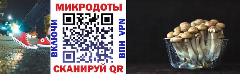Галлюциногенные грибы Cubensis  KRAKEN ONION  Ясногорск 